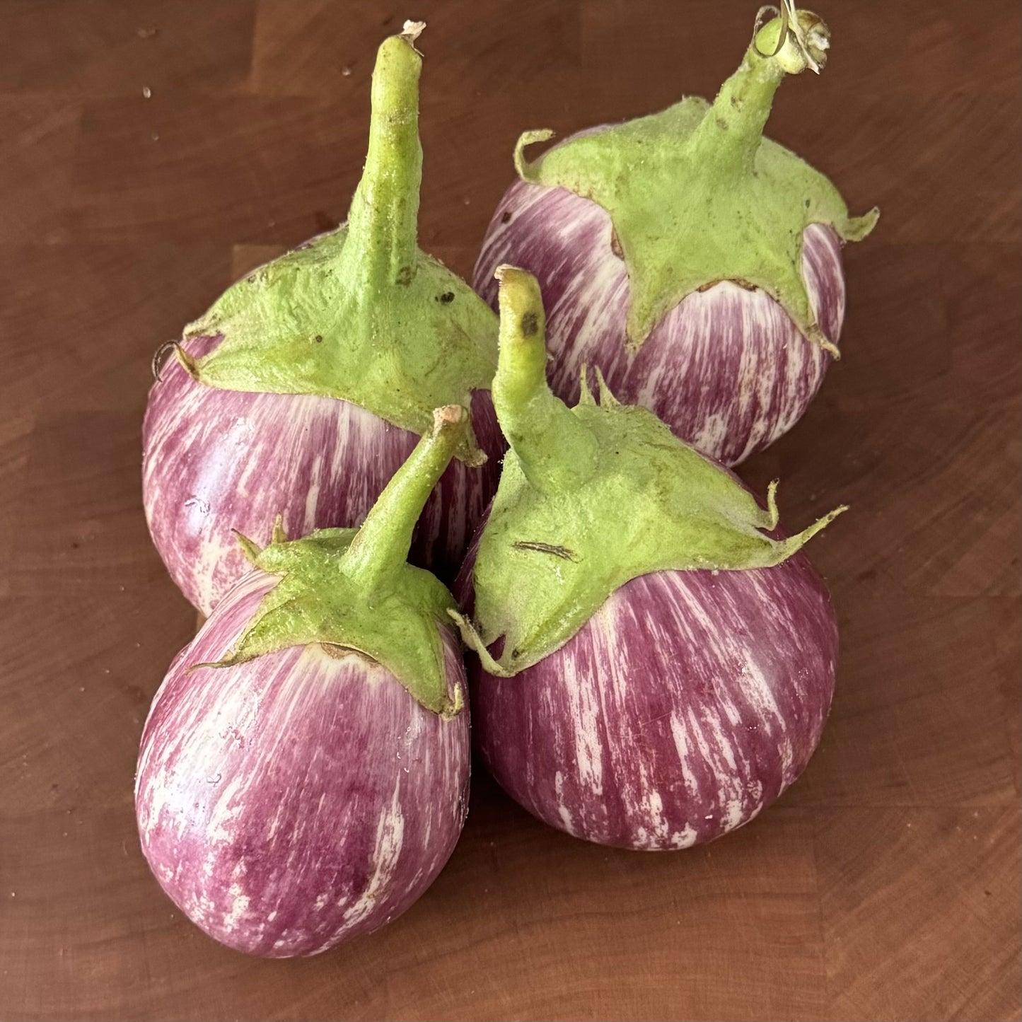 Calliope Eggplant