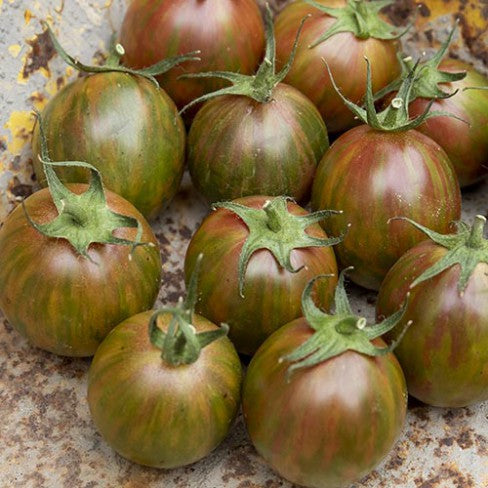 Green Bee Cherry Tomato