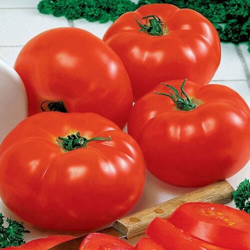 Big Beef Tomato