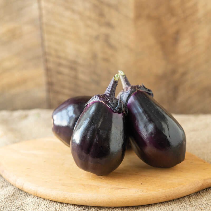 E-Tender Eggplant