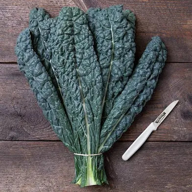 Lacinato Kale