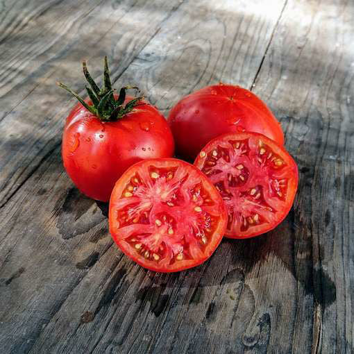 Moskvich Slicer Tomato