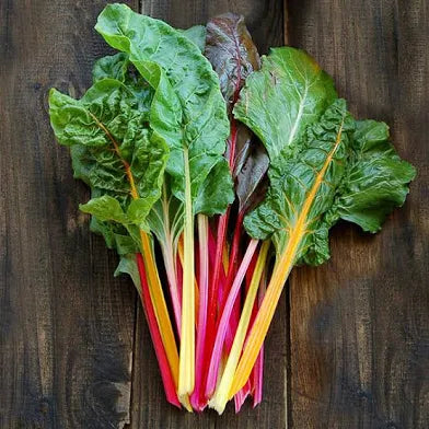 Rainbow Swiss Chard
