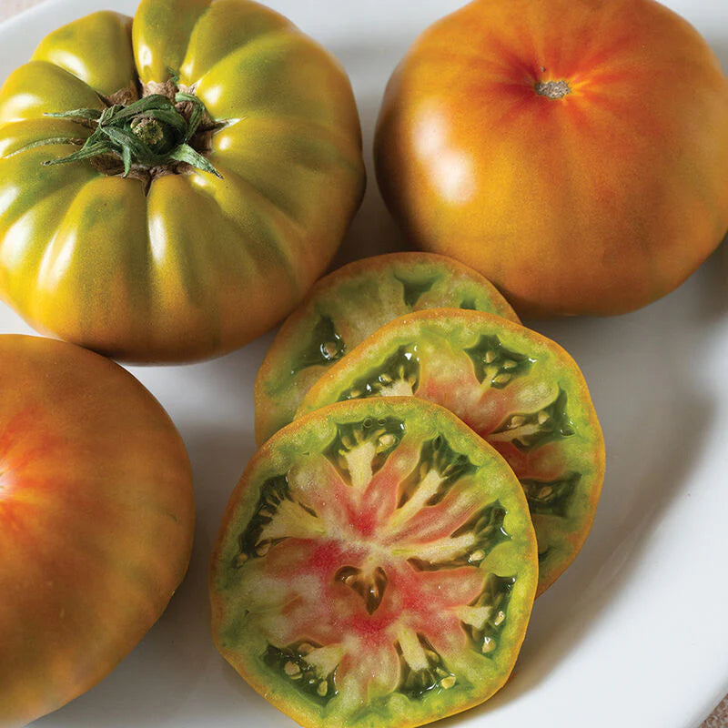 Woodstock Slicer Tomato